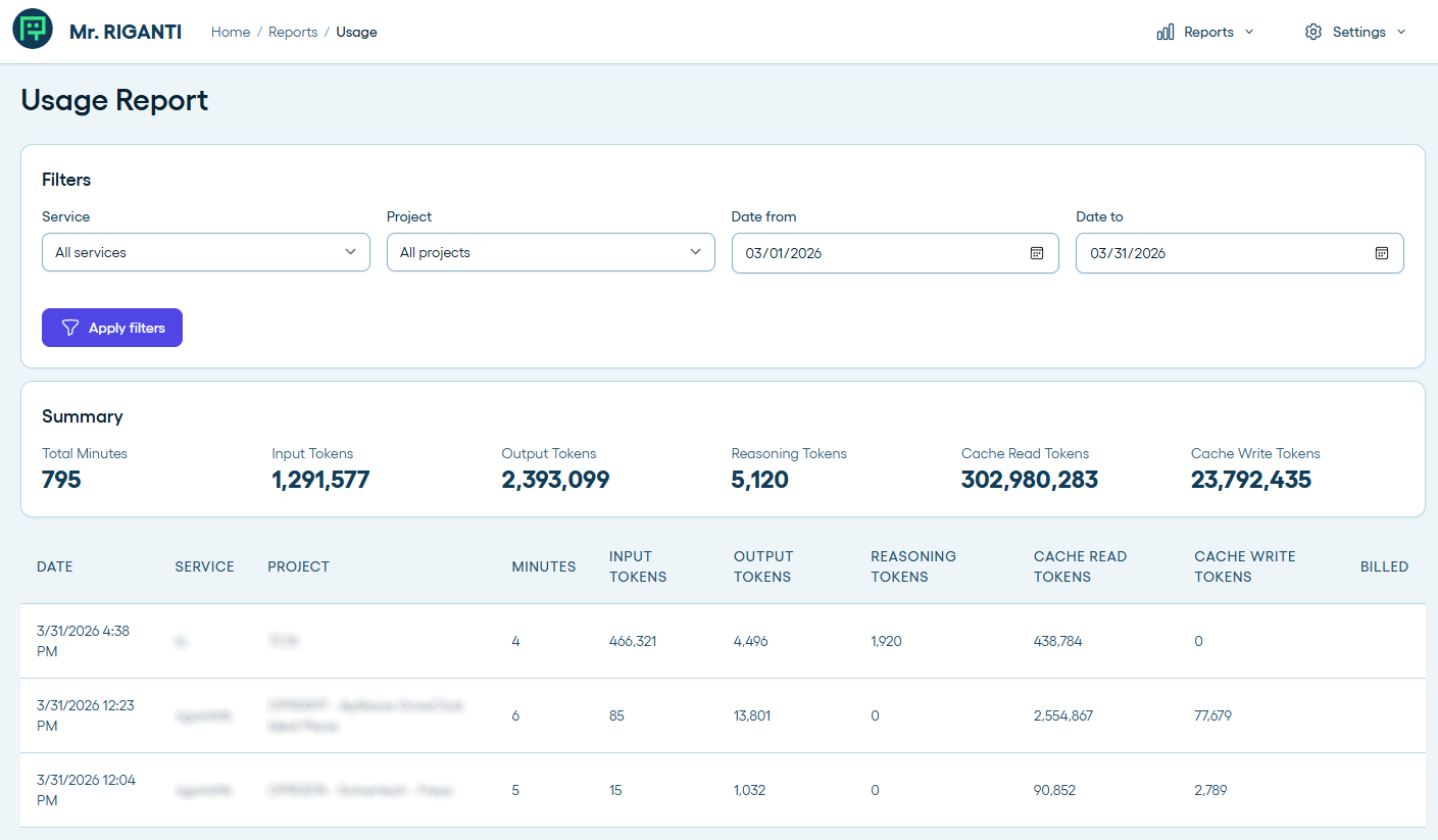 Reviewing Mr. RIGANTI's token usage